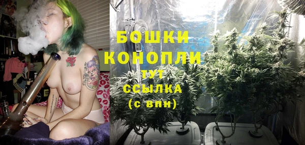 молекула духа Аркадак