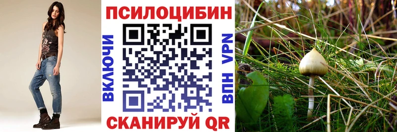 mega вход  Теберда  Галлюциногенные грибы GOLDEN TEACHER 